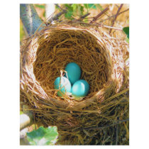 Robin Eggs in a Backyard Tree Nest Flyer Design