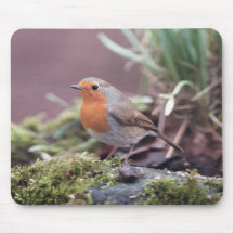 Robin - Erithacus rubecula Mouse Mats