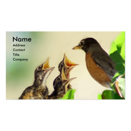 Robin Family Business Card Template