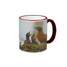 Robin Family Mug