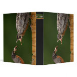 robin feeding binders