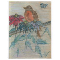 Robin flyers