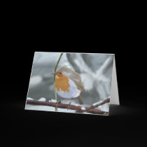 Robin greeting card by aldana07 Robin greeting card