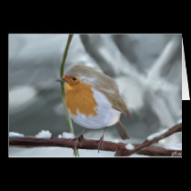 Robin greeting card cards