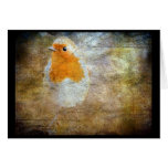 Robin Grunge Card Robin Grunge Card