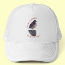 robin hats