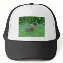 robin hats
