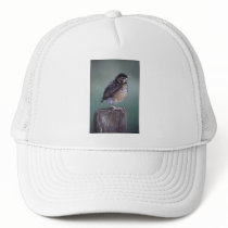 robin hats by WorldDesign robin hats