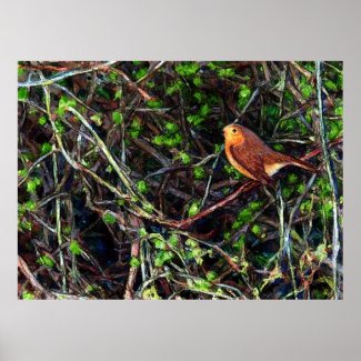 Robin in a hedge print