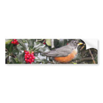 Robin in a Holly Tree Bumper Stickers