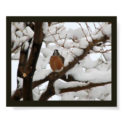 Robin in black Poster by psm108