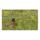 Robin in the Grass - 2011 Calendar Business Card