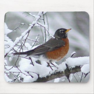 Robin in the Snow - Bird Mousepad mousepad
