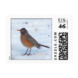robin in the snow stamp