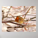 Robin in the winterland (Poster)