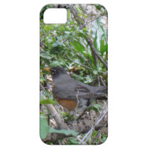 Robin iPhone5 Case casemate cases