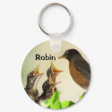 Robin Key Chain keychains