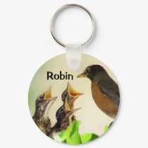 Robin Key Chain keychains