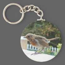 Robin Key Chain keychains