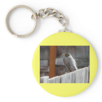 robin key chain