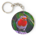 robin keychains