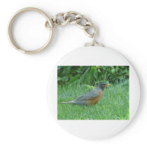 robin keychains