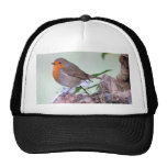 Robin Mesh Hat