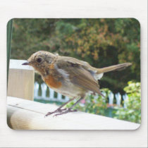 Robin Mouse Mat mousepads