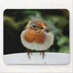 Robin Mousepad