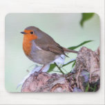 Robin Mousepad