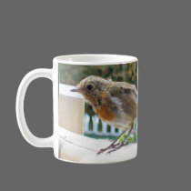 Robin Mug mugs