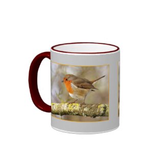 Robin mug