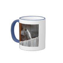 robin coffee mug