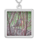 Robin Necklace necklaces