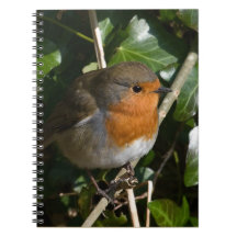 Robin Notebook