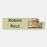 Robin on Branch Bumper Sticker