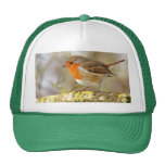 Robin on Branch Hat