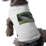 Robin on gravestone pet tee