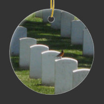 Robin on gravestone ornaments