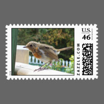 Robin Postage stamps