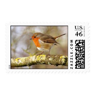 Robin Postage stamp