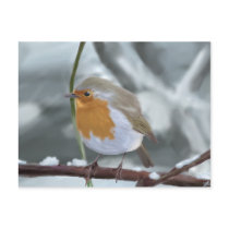Robin postcard by aldana07 Robin postcard