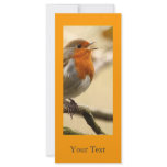 Robin Rack Card Template