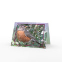 Robin Red Breast Card by naturegirl7 Robin Red Breast Card