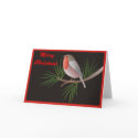 Robin Redbreast cards
