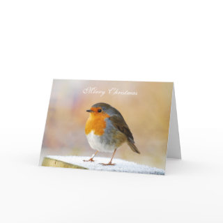 Robin Redbreast Christmas Card