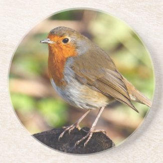 Robin Redbreast Coaster coaster