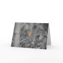 Robin Redbreast Greeting Card by Artworks Robin Redbreast Greeting Card