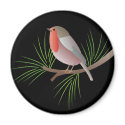 Robin Redbreast magnets by zazzleproducts1 Robin Redbreast magnets