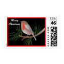 Robin Redbreast postage by zazzleproducts1 Robin Redbreast postage